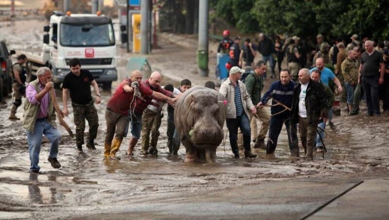 Шесть лет назад в Тбилиси было сильное наводнение
