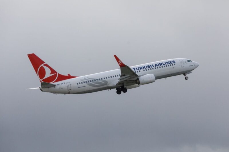 Лидеры авиаперевозок в Грузии Turkish Airlines и Wizz Air, на их долю приходится четверть всех полётов в стране