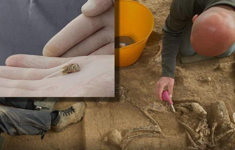 Грузинские археологи сообщили об открытии, которое имеет мировое значение
