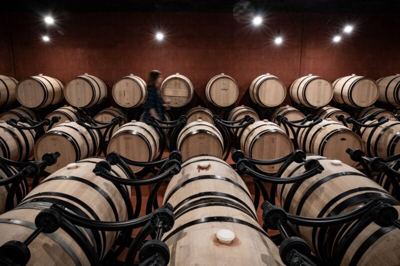 Платформа «Cardano Foundation» объявило о партнерстве с Национальным агентством вина Грузии