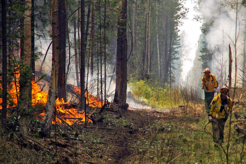 Служба по управлению чрезвычайными ситуациями сообщает, что все пожары, охватившие лесные массивы в окрестностях Тбилиси, ликвидированы