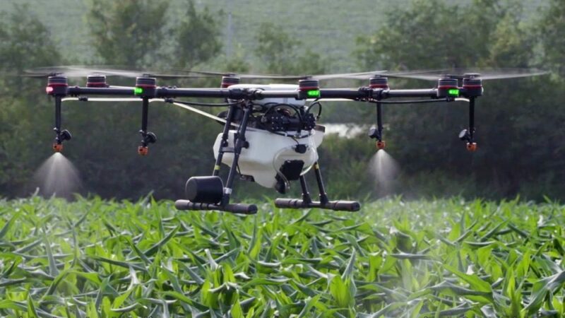 Грузинские фермеры получат дроны для борьбы с вредителями