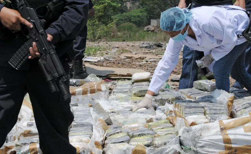 Во время вчерашней спецоперации по борьбе с наркотиками в разных регионах Грузии были задержаны 58 человек