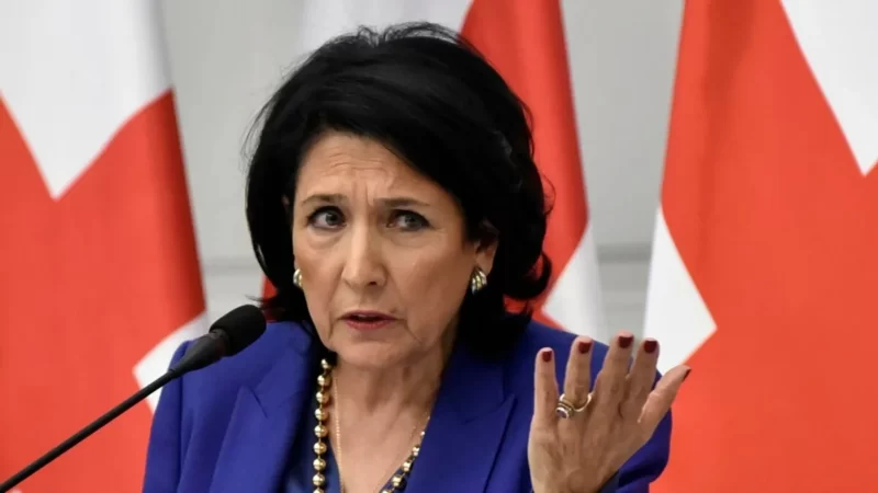 Президент Грузии выступила в защиту молодежи после слов спикера парламента