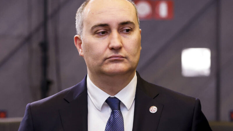 Министр обороны Джуаншер Бурчуладзе заявил, что власти Грузии твердо поддерживают консервативное направление развития страны