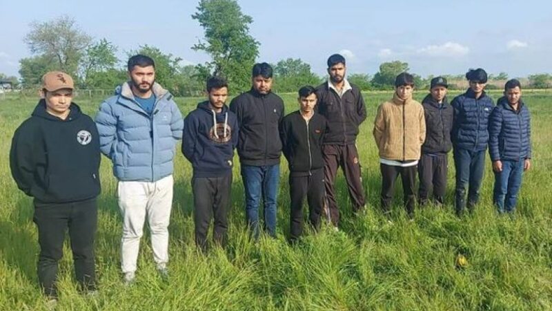 Десять граждан Непала задержаны за попытку незаконного пересечения азербайджано-грузинской границы