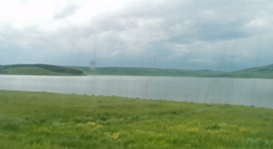 Полчища комаров возле озера Сагамо (Ниноцминдский муниципалитет — 150 км от Тбилиси