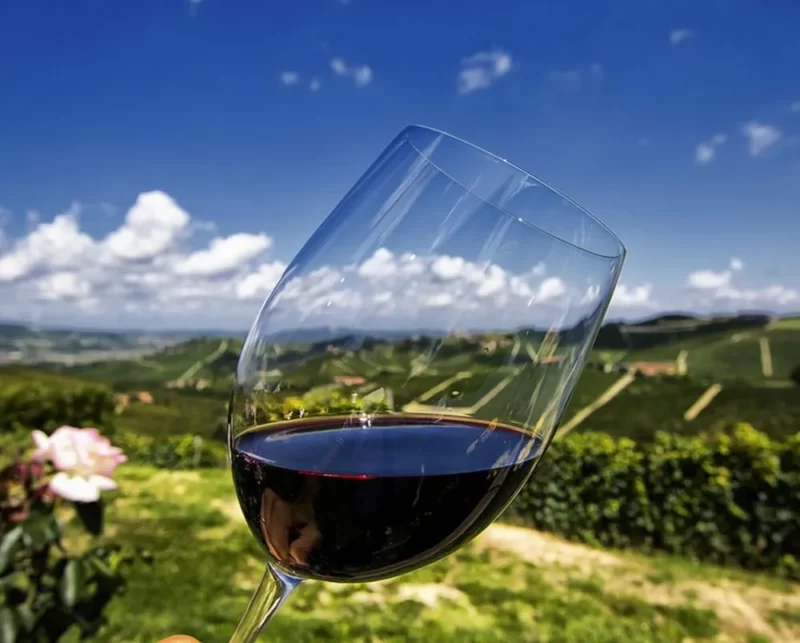 Завтра 17 июня в городе Болниси состоится фестиваль вин Bolnisi Wine Festival