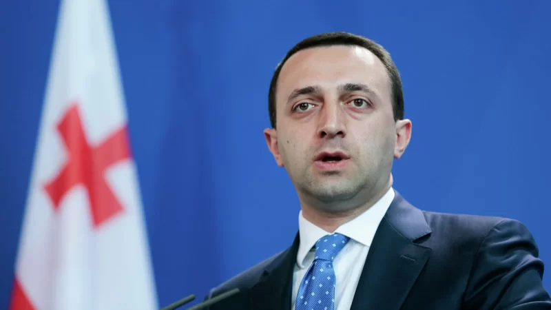 Премьер-министр Грузии Ираклий Гарибашвили выступил за начальное военное образование в детских садах