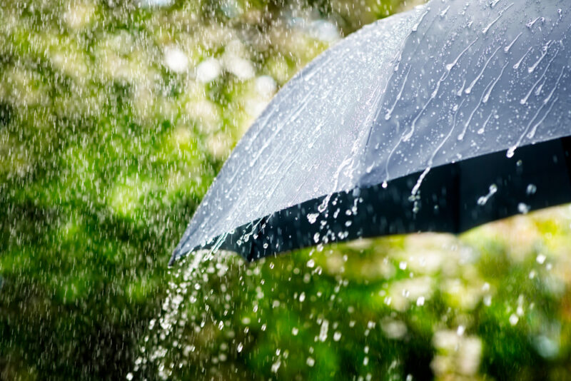 Национальное агентство окружающей среды Грузии предупреждает о наступающей на этой неделе (с 03.07 по 09.07.) в большинстве регионов жаре и дождях