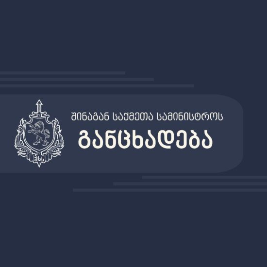 «Не мешайте проходу других граждан» – МВД Грузии призвало участников оппозиционных акций 24-25 ноября к соблюдению правопорядка