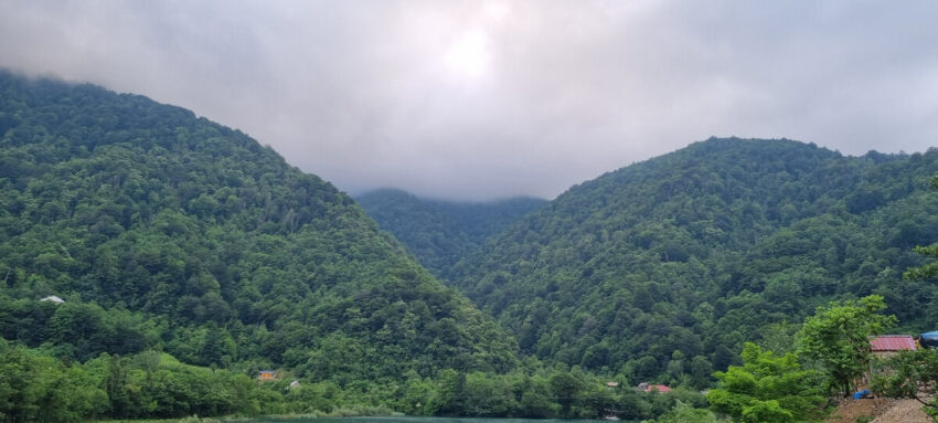 Рубрика “Тайное место”: “BeeApiRelax” в Аджарии