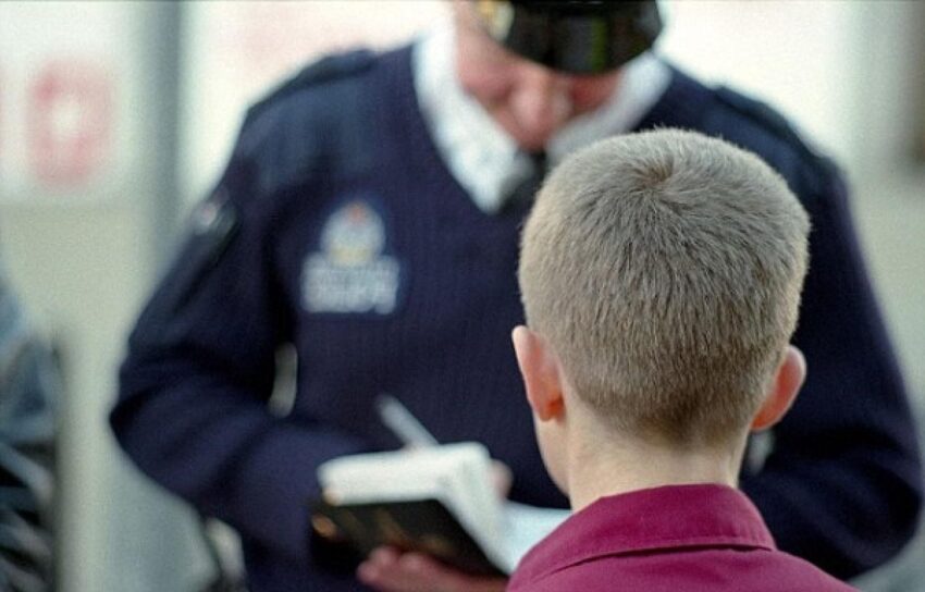 В Грузии займутся профилактикой преступлений, совершаемых несовершенолетними