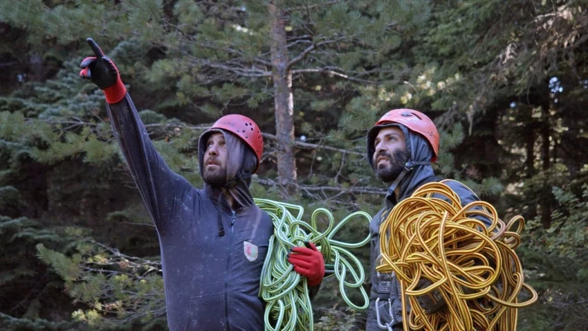 Самая популярная сейчас рождественская «елка» в Европе на самом деле вовсе не ель, а пихта. И родом она из Грузии, а конкретно – из Рачи