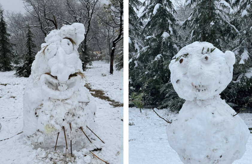 Снеговики Тбилиси