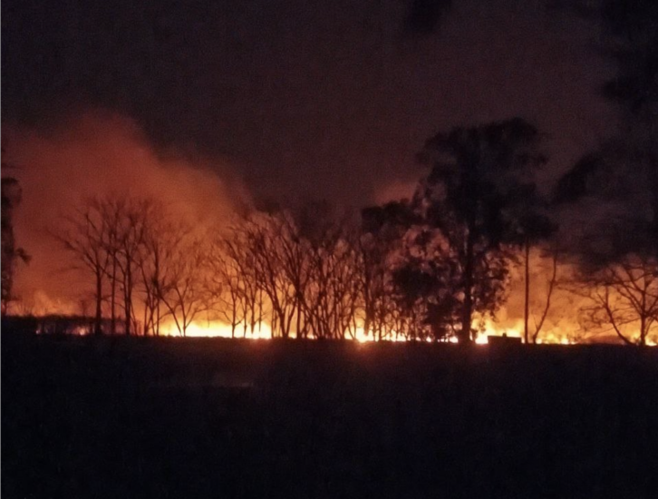 Сильные пожары в Национальном парке Колхети