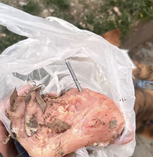 В Тбилиси могли появиться догхантеры