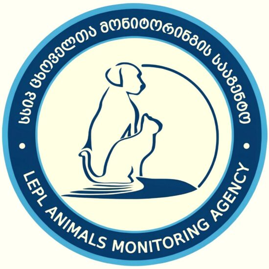 Бесплатное лекарство для опекунов собак в Тбилиси