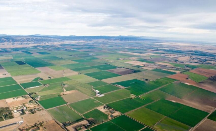 Единая база земельных данных появилась в Грузии — впервые за 20 лет