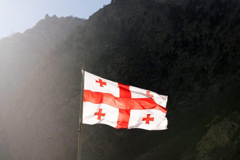 Что делать в Грузии с новыми законами ИП, которые не имеют достаточного для ВНЖ оборота (до 50 тысяч лари)