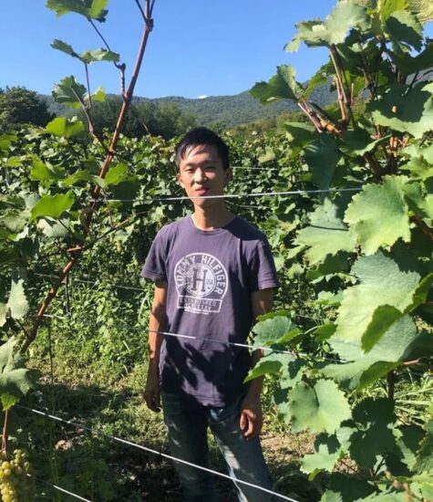 Винный путь из Японии в маленькую кахетинскую деревушку