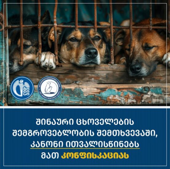 С 1 июля 2026 года за разведение домашних животных в больших количествах с несоблюдением санитарных норм, будет введено наказание