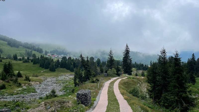Альпийский ботанический сад Годердзи – высокогорный, камерный и бесплатный