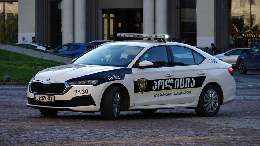 Патрульная служба Грузии помимо стандартного комплекта документов, сможем проверять у иностранцев разрешение на работу и наличие ВНЖ для него